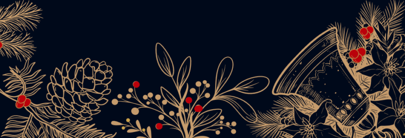 cp festive banner