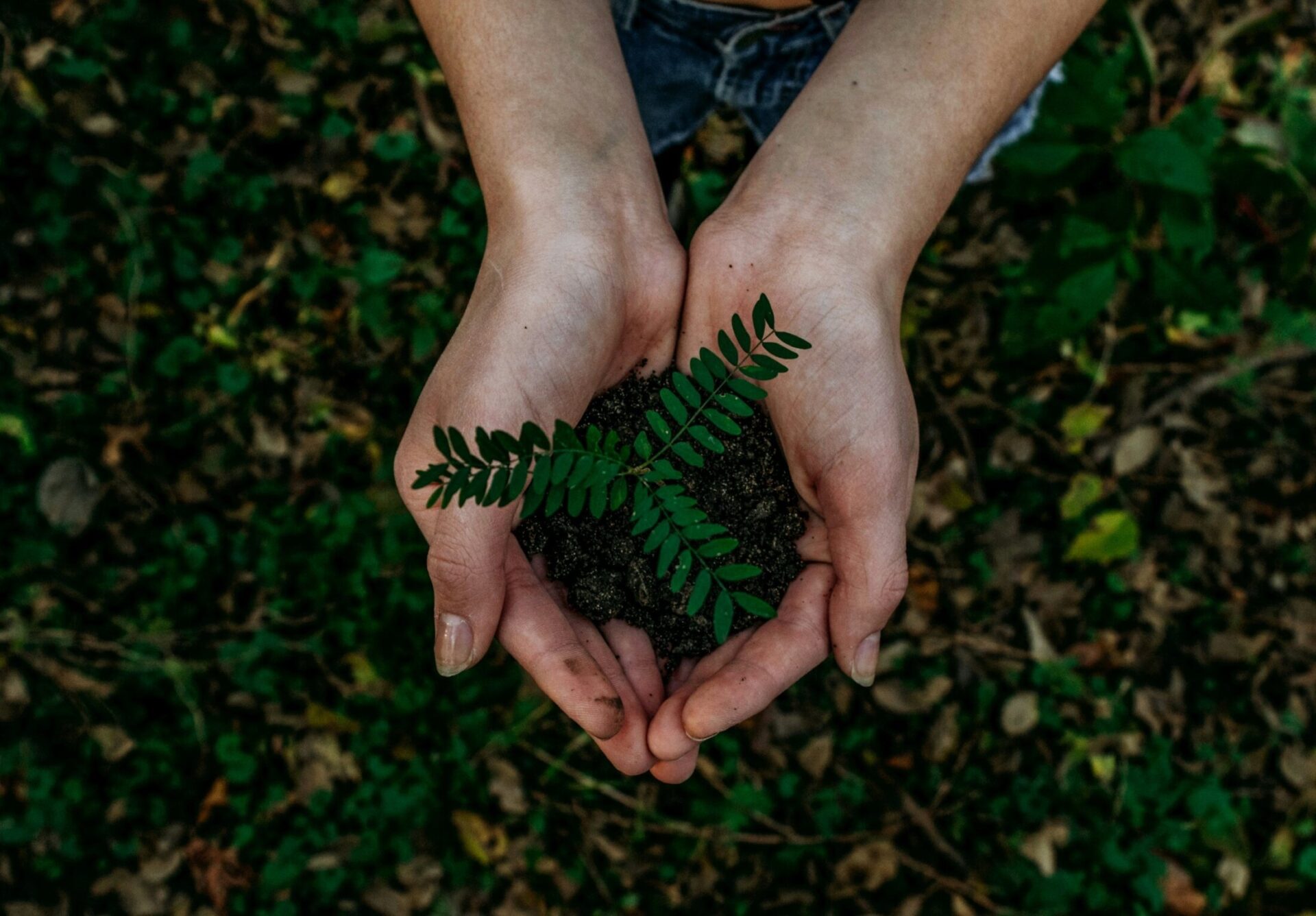 noah-buscher-x8ZStukS2PM-unsplash (1)