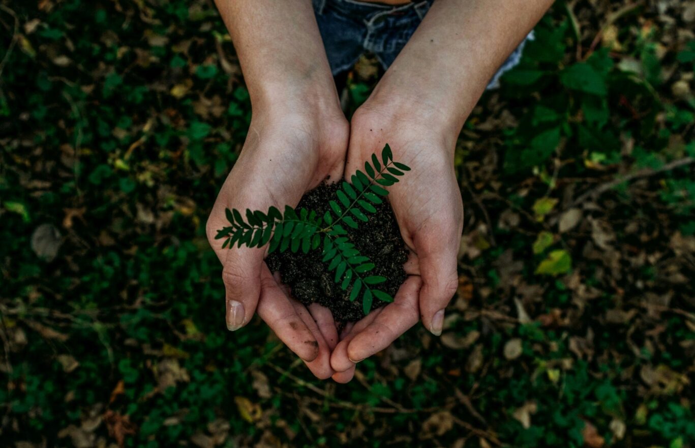 noah-buscher-x8ZStukS2PM-unsplash (1)