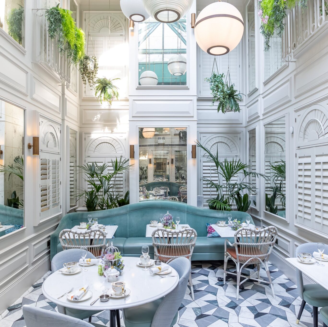 IMG_1199-Enhanced-NR (6)