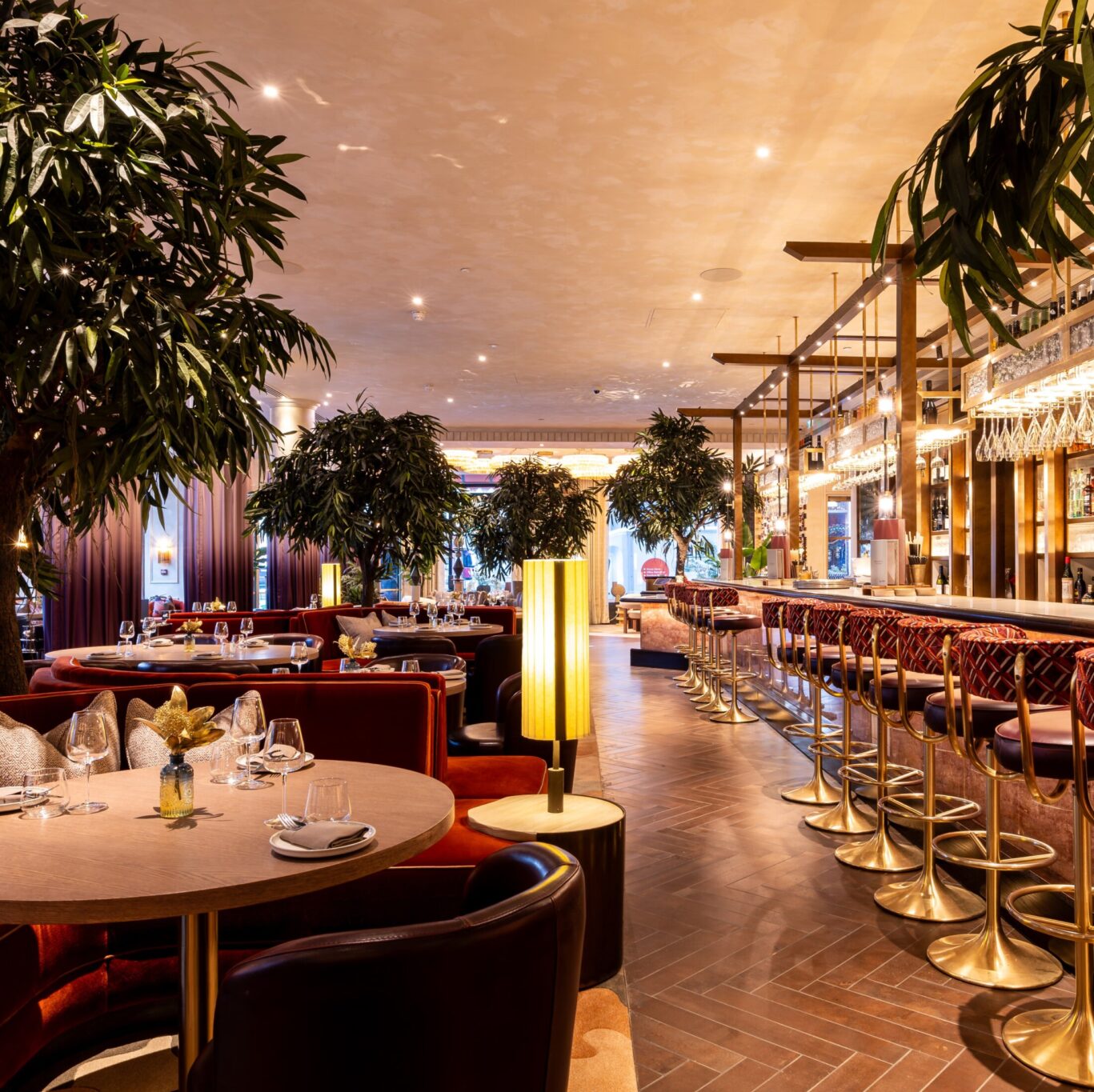 IMG_6841-Enhanced-NR (6)