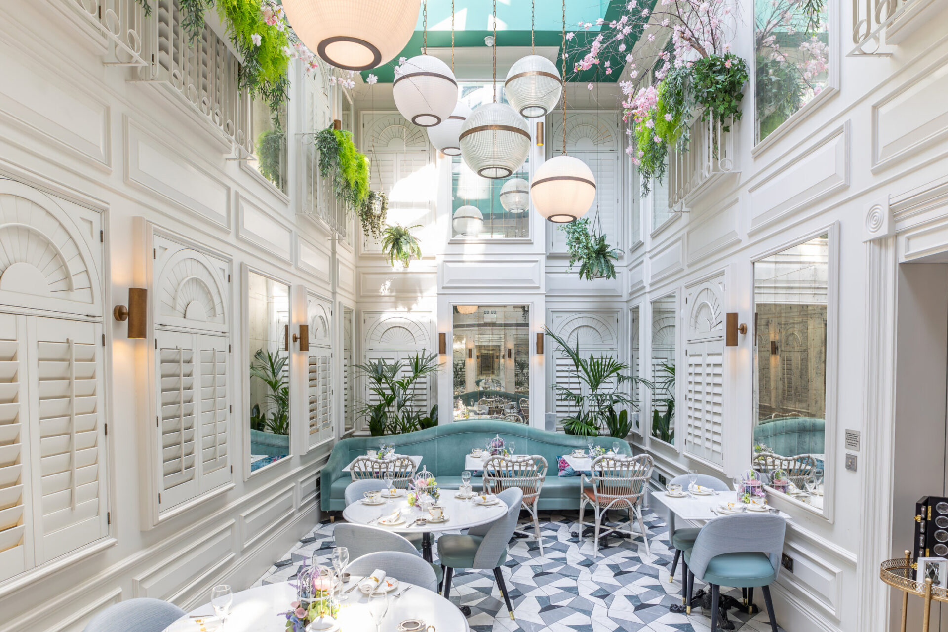 IMG_1201-Enhanced-NR (7)