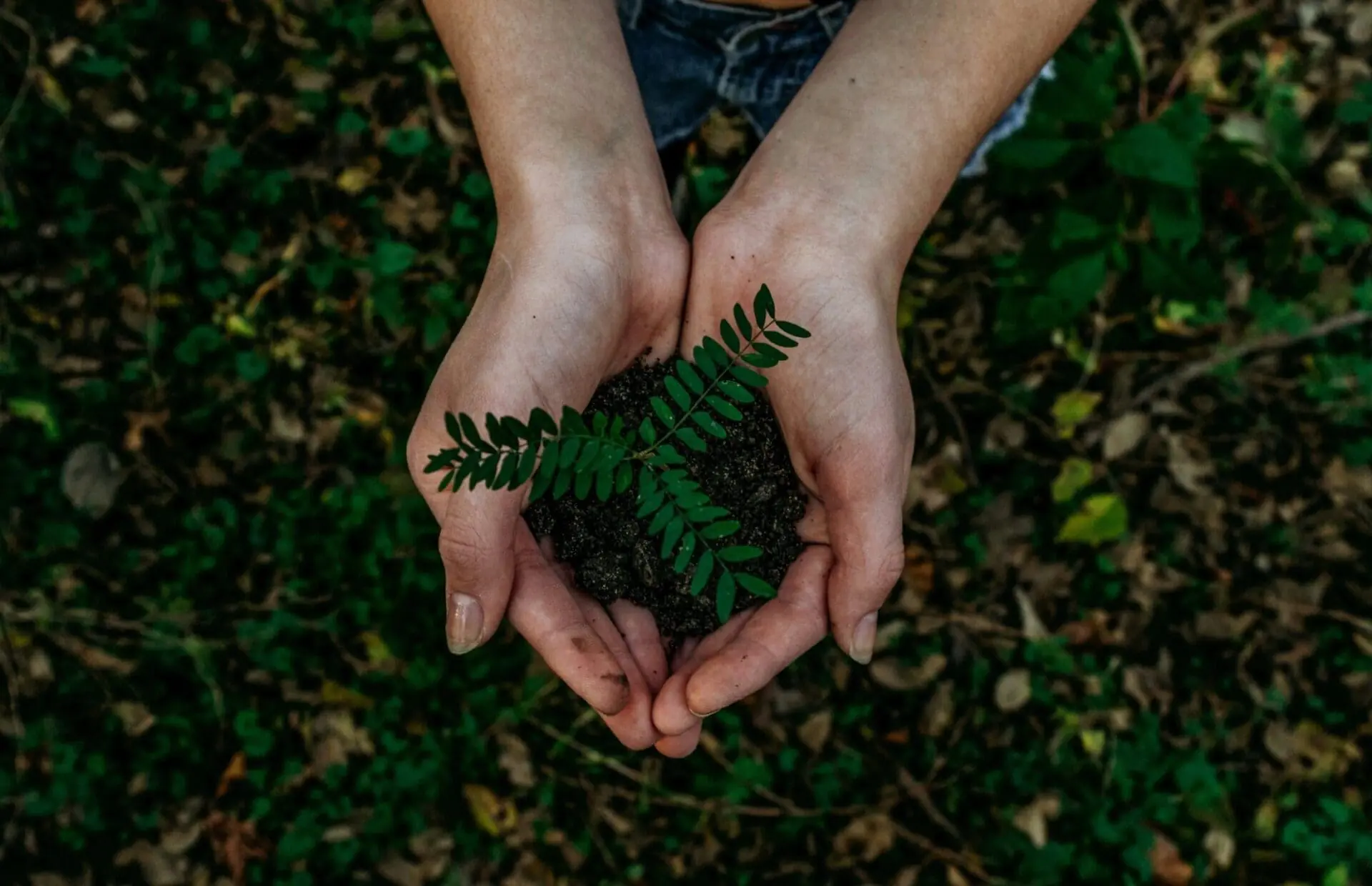 noah-buscher-x8ZStukS2PM-unsplash (1)